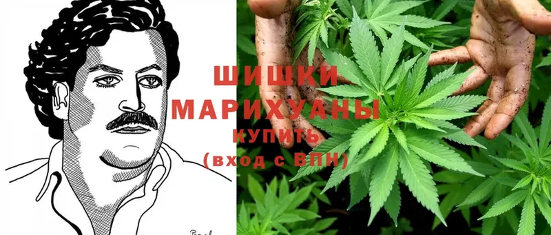 Бошки марихуана гибрид  Лиски 